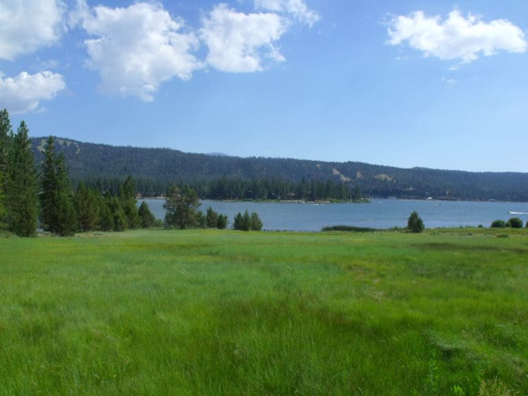 Meadow In Big Bear